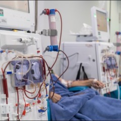 Mais que hemodi&aacute;lise: Funda&ccedil;&atilde;o Pr&oacute;-Rim soma 73,2 mil sess&otilde;es nos sete primeiros meses de 2026