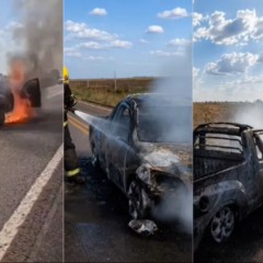 Carro ficou destru&iacute;do ap&oacute;s pegar fogo em rodovia &mdash; Foto: Guara&iacute; Not&iacute;cias/Divulga&ccedil;&atilde;o