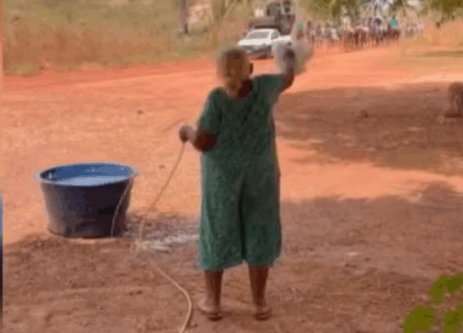 Em dia de calor acima dos 35°C, moradora para cavalgada para dar água a cavalos no TO; VÍDEO