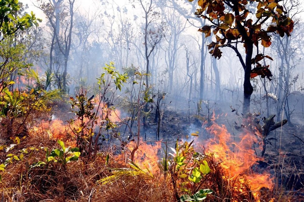 Ibama notifica quase 700 imóveis rurais no Tocantins para prevenir incêndios florestais Ibama notifica quase 700 imóveis rurais no Tocantins para prevenir incêndios florestais
