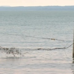 Jovem morreu enquanto tentava nadar em lago &mdash; Foto: Reprodu&ccedil;&atilde;o/TV Anhanguera
