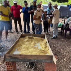 Quilombo Po&ccedil;o Dantas realiza 1&ordf; Farinhada do Jatob&aacute; e transforma fruto em tradi&ccedil;&atilde;o e renda
