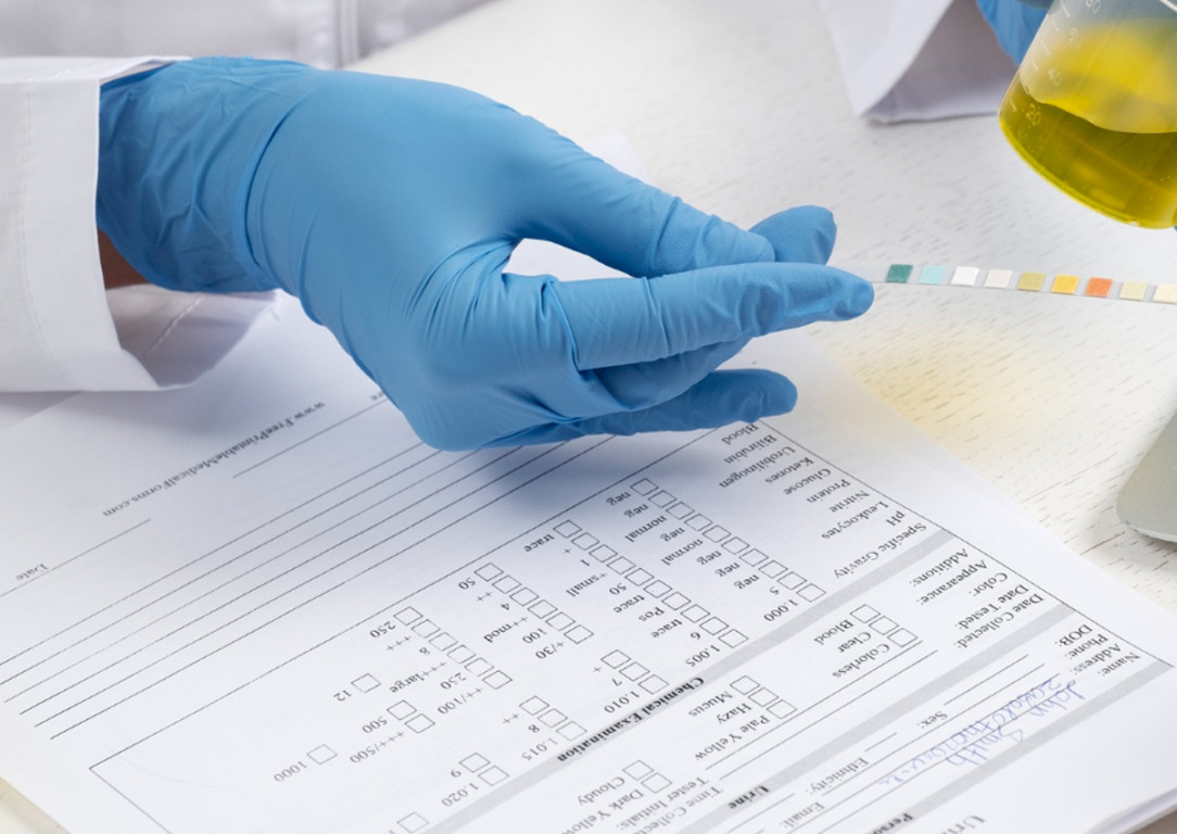 Grupo é condenado por esquema de fraude em exames toxicológicos para CNH em Palmas Grupo é condenado por esquema de fraude em exames toxicológicos para CNH em Palmas