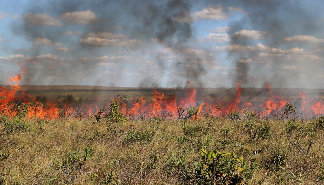 Ações de combate aos incêndios florestais são intensificadas durante o período de maior risco de queimadas no estado - Foto: Fernando Alves/Governo Tocantins Ações de combate aos incêndios florestais são intensificadas durante o período de maior risco de queimadas no estado - Foto: Fernando Alves/Governo Tocantins