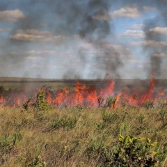 A&ccedil;&otilde;es de combate aos inc&ecirc;ndios florestais s&atilde;o intensificadas durante o per&iacute;odo de maior risco de queimadas no estado - Foto: Fernando Alves/Governo Tocantins