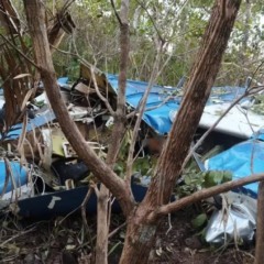Avi&atilde;o cai em assentamento na zona rural de Divin&oacute;polis; v&iacute;timas ainda n&atilde;o foram confirmadas