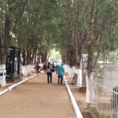 Cemit&eacute;rio de Colinas - Foto: divulga&ccedil;&atilde;o/Prefeitura de Colinas