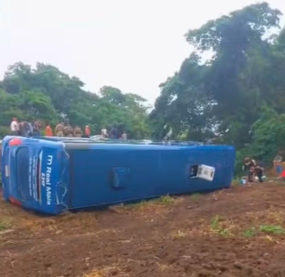 Ônibus tombou na BR-153 e deixou feridos — Foto: Reprodução/Guaraí Notícias