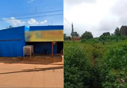 Imóveis e lotes estão disponíveis no estado — Foto: Reprodução/Mega Leilões