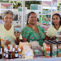 O evento tem como objetivo fortalecer a economia solid&aacute;ria e os empreendimentos do Tocantins. Acervo Seagro/Governo do Tocantins