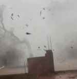 V&iacute;deo flagra &aacute;rvores caindo durante temporal que provocou estragos em Aragua&iacute;na