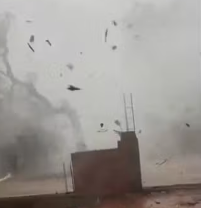 Vídeo flagra árvores caindo durante temporal que provocou estragos em Araguaína Vídeo flagra árvores caindo durante temporal que provocou estragos em Araguaína