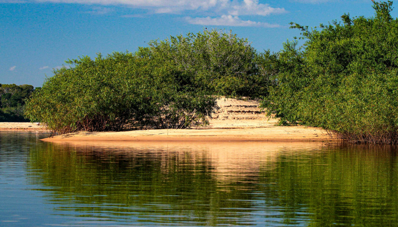 Recursos do Fundo Amazônia serão utilizados no monitoramento ambiental e no combate ao fogo, principalmente no Cantão - Fernando Alves/Governo do Tocantins. Recursos do Fundo Amazônia serão utilizados no monitoramento ambiental e no combate ao fogo, principalmente no Cantão - Fernando Alves/Governo do Tocantins.