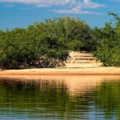 Recursos do Fundo Amaz&ocirc;nia ser&atilde;o utilizados no monitoramento ambiental e no combate ao fogo, principalmente no Cant&atilde;o - Fernando Alves/Governo do Tocantins.