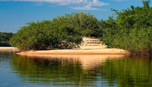 Recursos do Fundo Amazônia serão utilizados no monitoramento ambiental e no combate ao fogo, principalmente no Cantão - Fernando Alves/Governo do Tocantins.