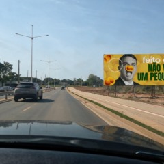 &ldquo;Feito o pai, n&atilde;o vale um pequi ro&iacute;do&rdquo;: outdoors contra Fl&aacute;vio Bolsonaro geram pol&ecirc;mica em Palmas