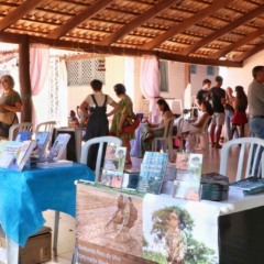 Festifeira re&uacute;ne literatura, oficinas e shows neste fim de semana em Palmas