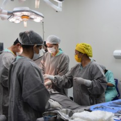 HGP realiza capta&ccedil;&atilde;o de &oacute;rg&atilde;o e contabiliza nove procedimentos em 2026