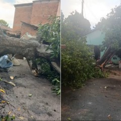 Temporal deixou estragos em cidade do Tocantins &mdash; Foto: Colinas Not&iacute;cias/Divulga&ccedil;&atilde;o