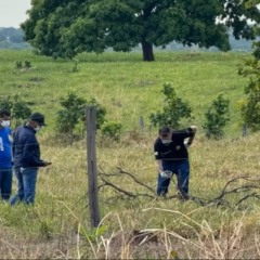 Corpo em decomposi&ccedil;&atilde;o &eacute; encontrado &agrave;s margens da rodovia TO-336 &mdash; Foto: Divulga&ccedil;&atilde;o/Guara&iacute; Not&iacute;cias/Karla Almeida