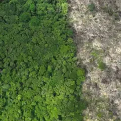 
Vista a&eacute;rea mostra desmatamento na Amaz&ocirc;nia, pr&oacute;ximo a Uruar&aacute;, Par&aacute; - Foto: undefined
