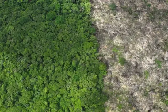 
Vista aérea mostra desmatamento na Amazônia, próximo a Uruará, Pará - Foto: undefined
